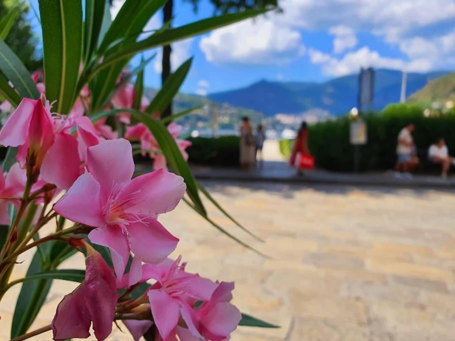 Plaza Deluxe Modern Center House - View Como Lake - Top Privacy Εξωτερικό φωτογραφία